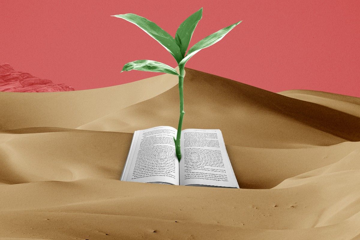 A sand dune and a book.