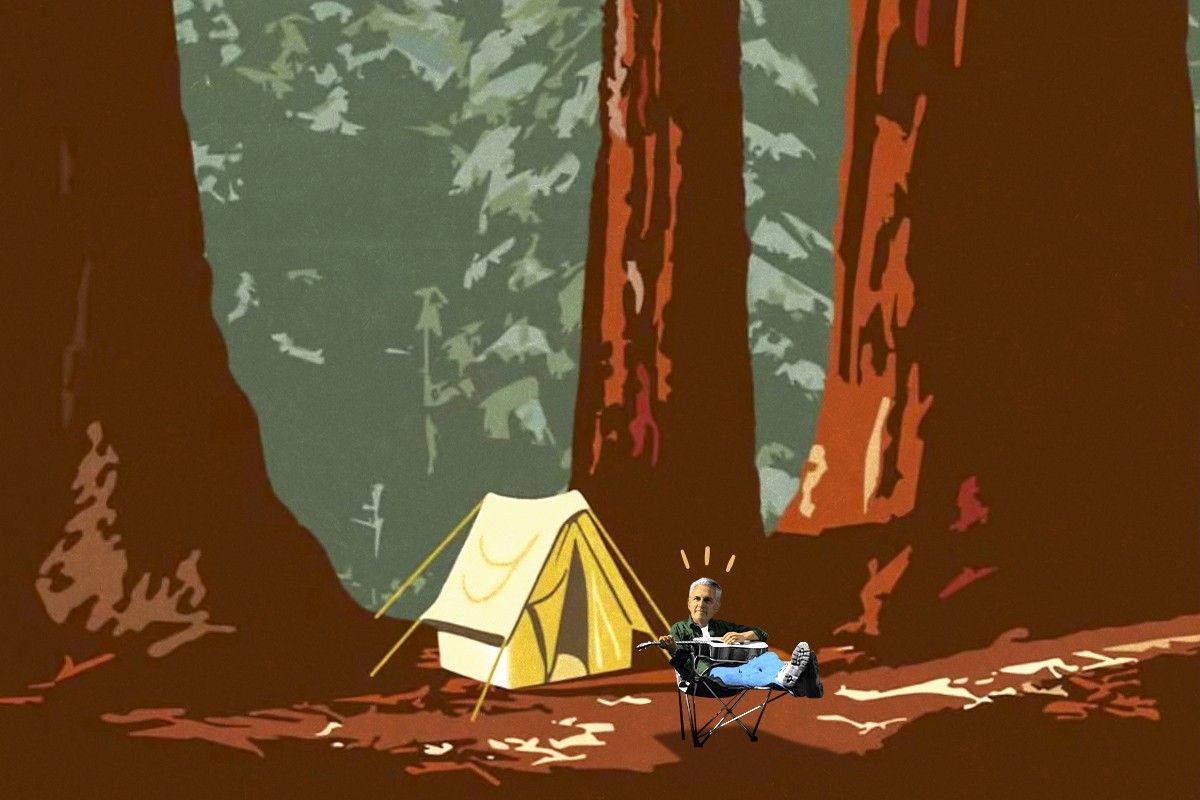 Kevin McCarthy camping beneath sequoias. 