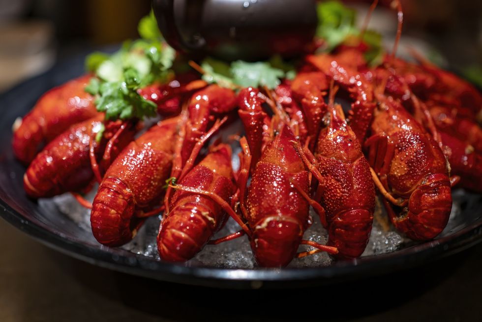 Crawfish.