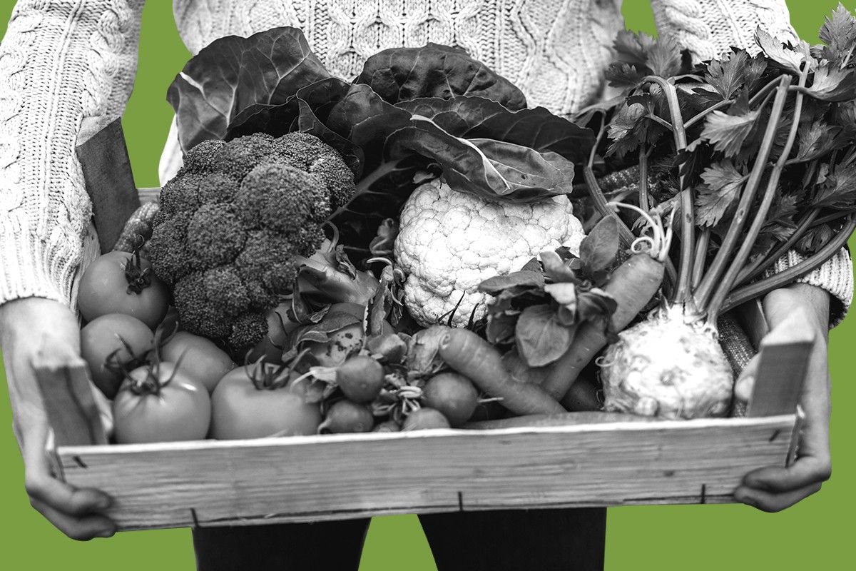 Vegetables.