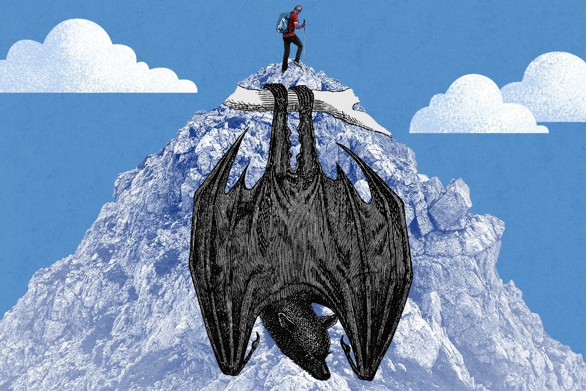 A bat and a mountain.