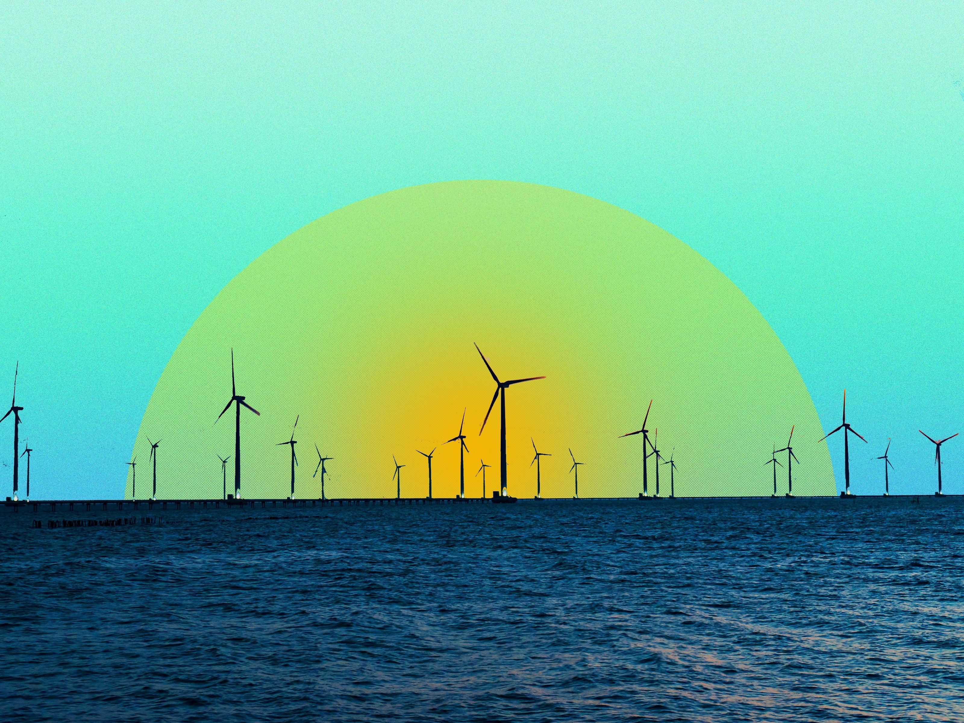 An offshore wind farm.