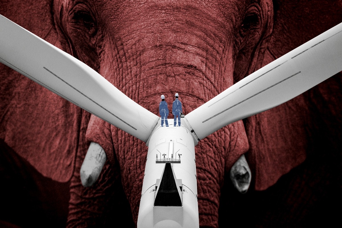 A very large elephant and a wind turbine.