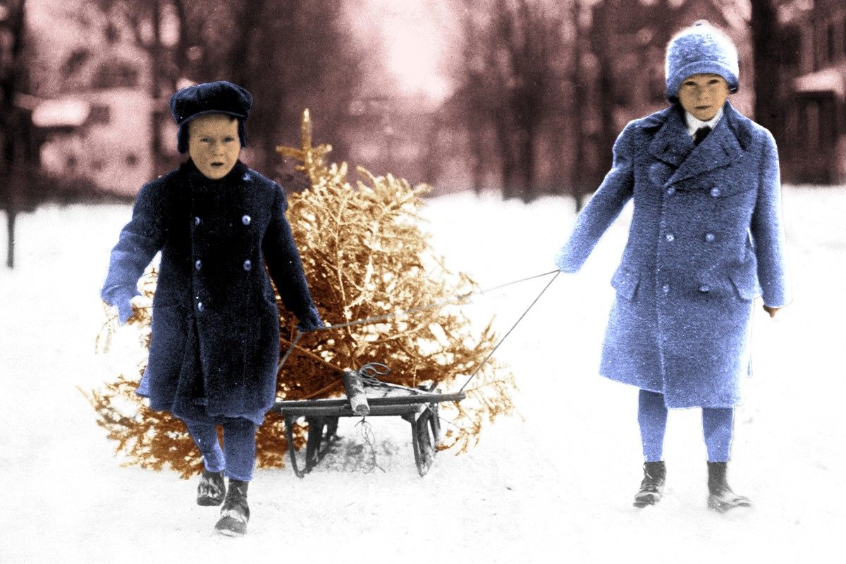 Two boys and a brown Christmas tree.
