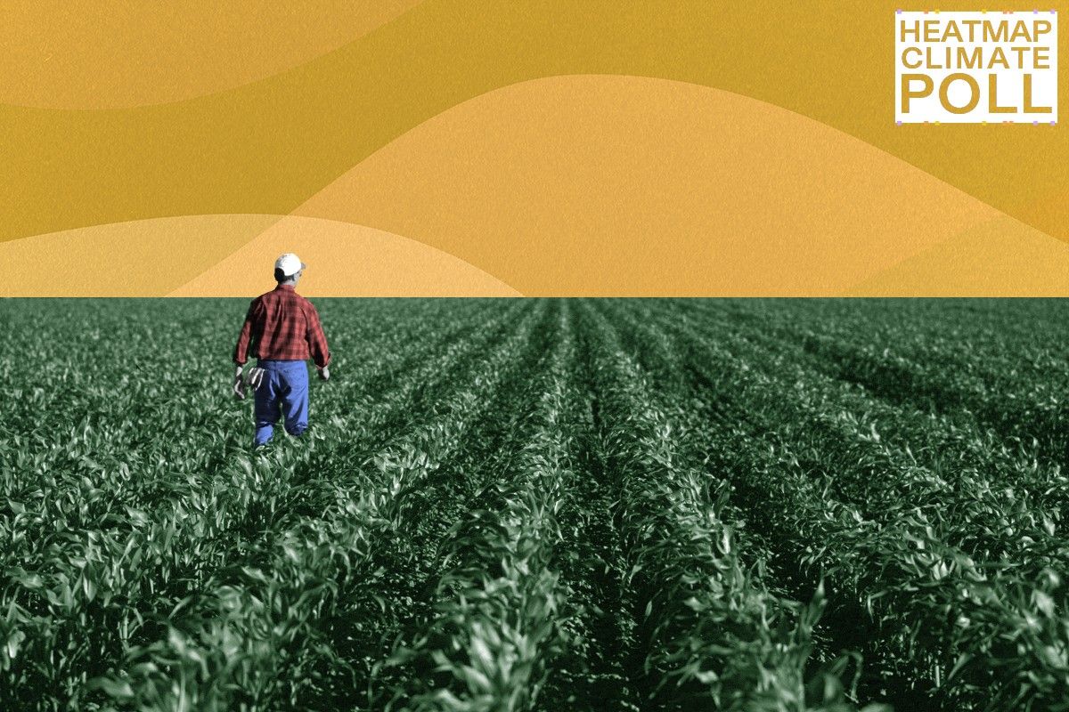 A farmer looking at smoke.