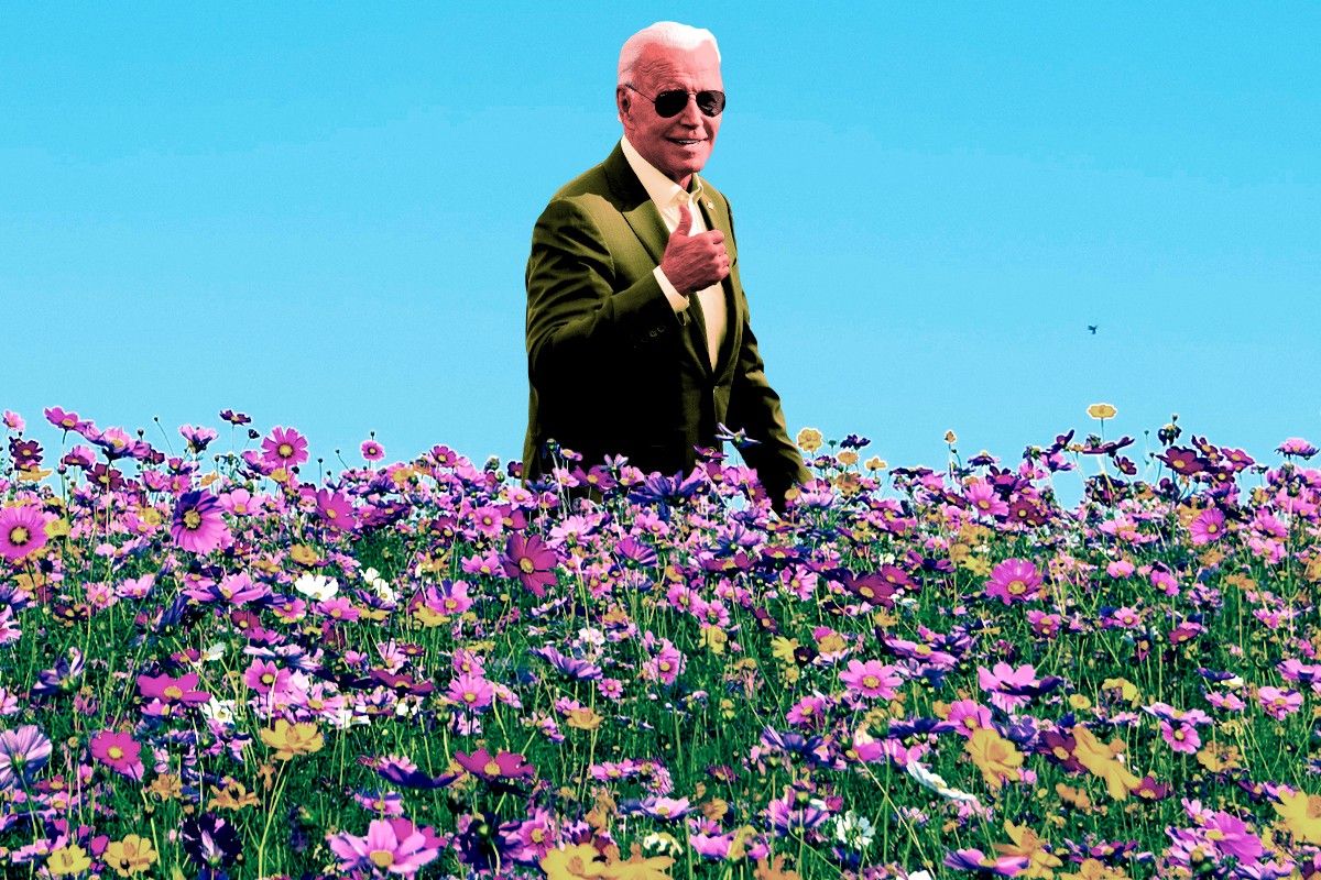 President Biden in wildflowers.