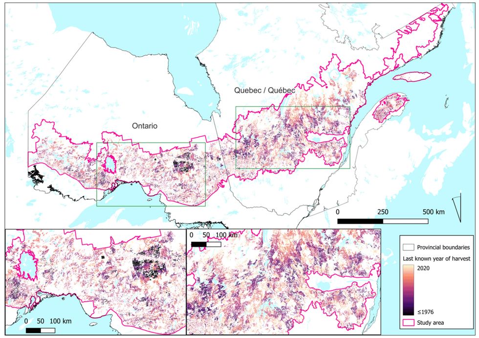 Logging in Canada's boreal forest.