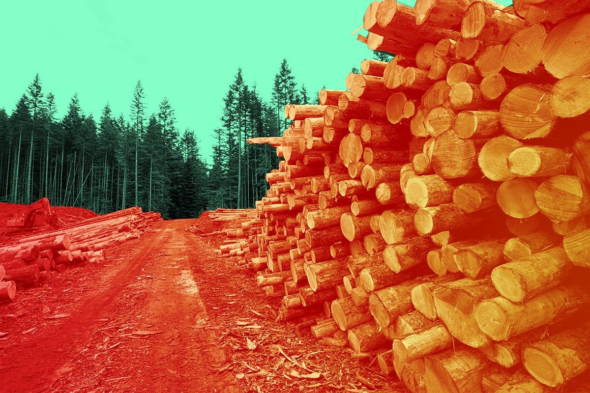 Logging in Canada.