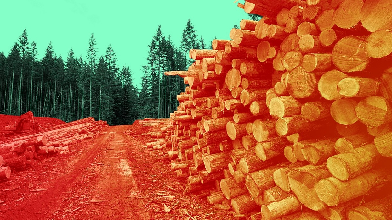 Logging in Canada.