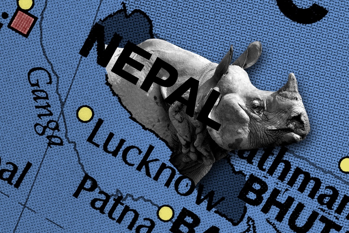 An Asian rhino.
