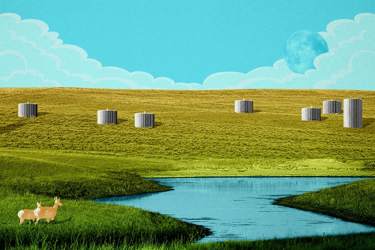 The Spiritus Carbon Orchard.