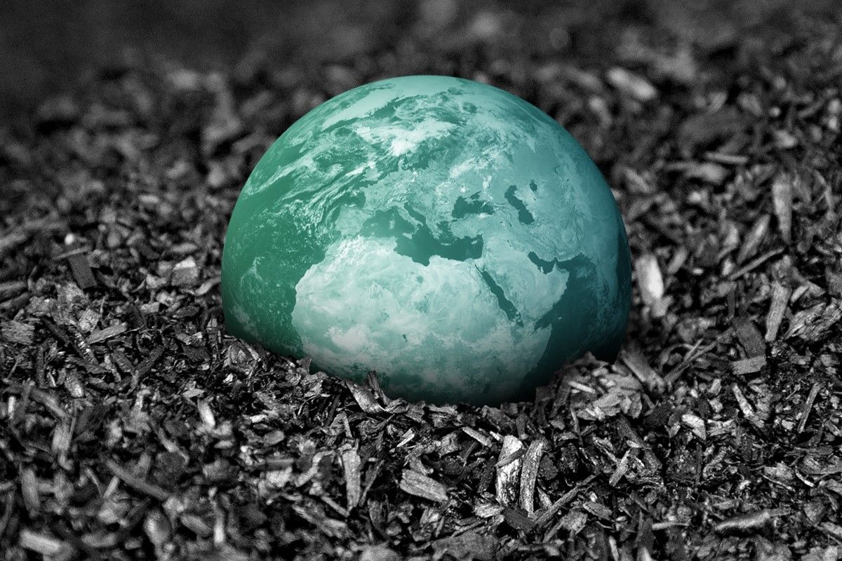 Earth sitting in a pile of biochar.