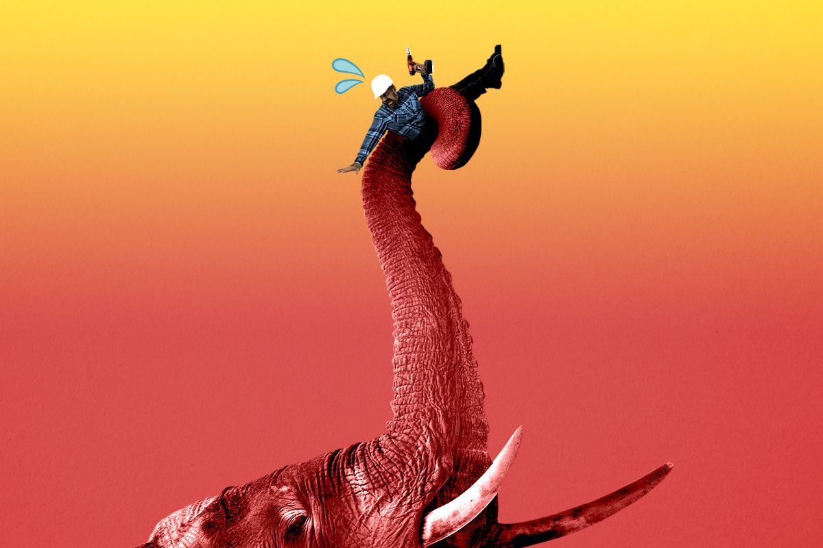 An elephant holding a construction worker.