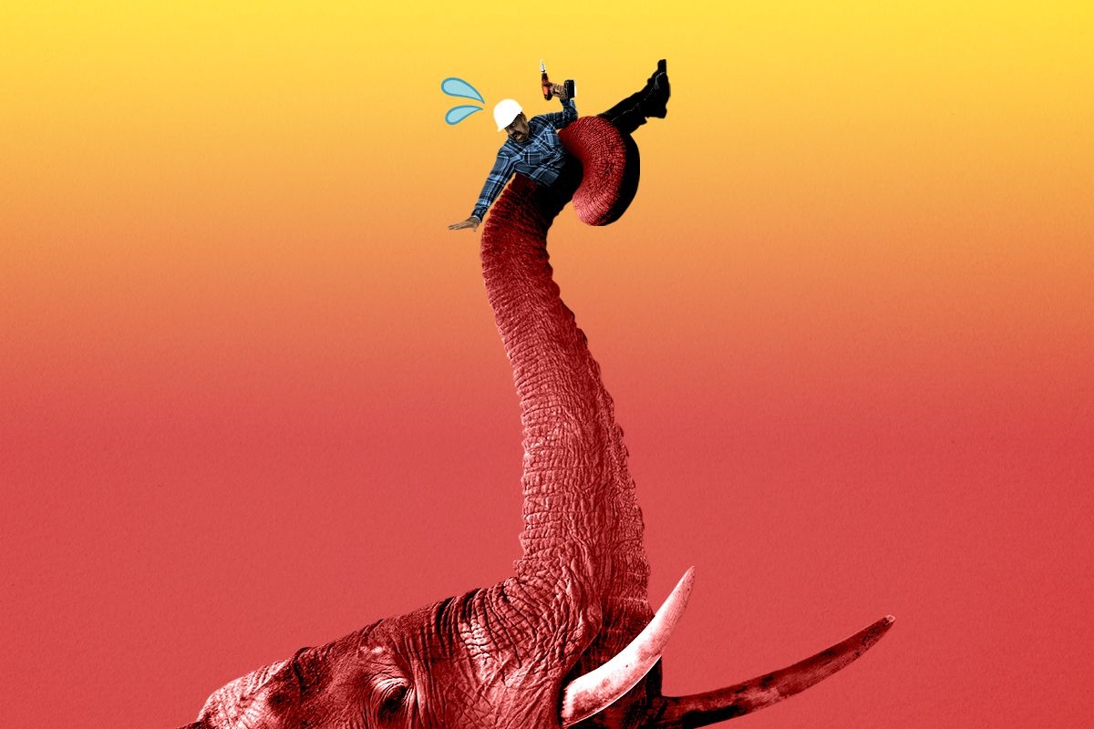 An elephant holding a construction worker.