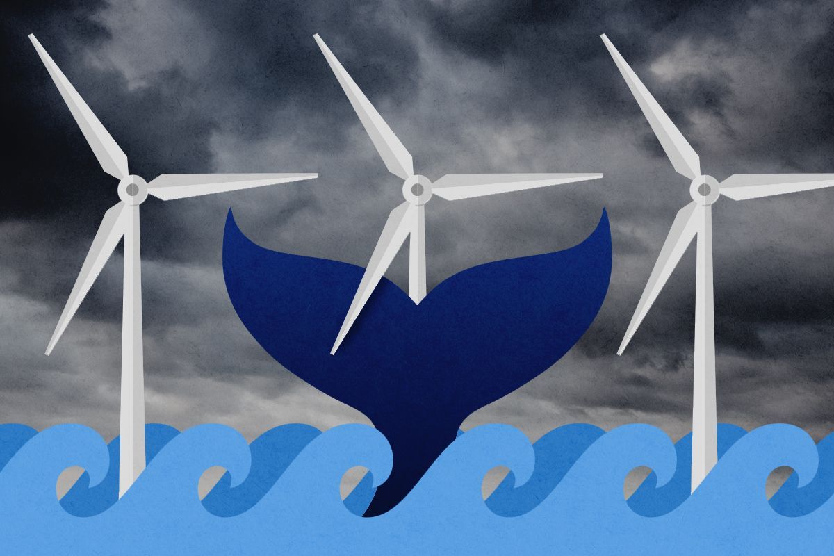 A whale and wind turbines.