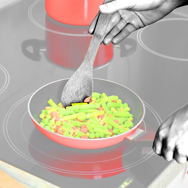 Which Induction Stove Is Right for You?