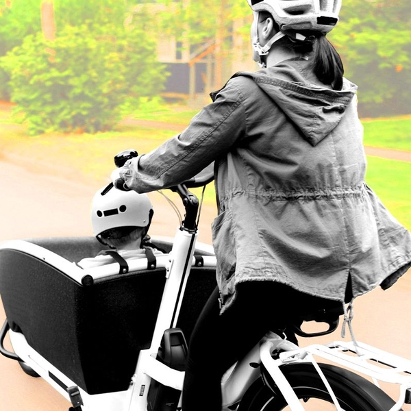 Which E-Bike Should You Get?