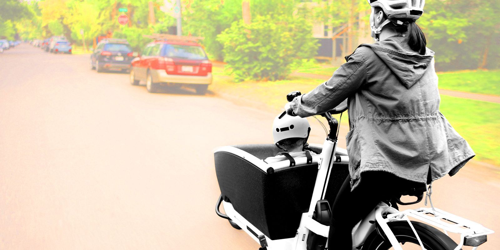 Which E-Bike Should You Get?