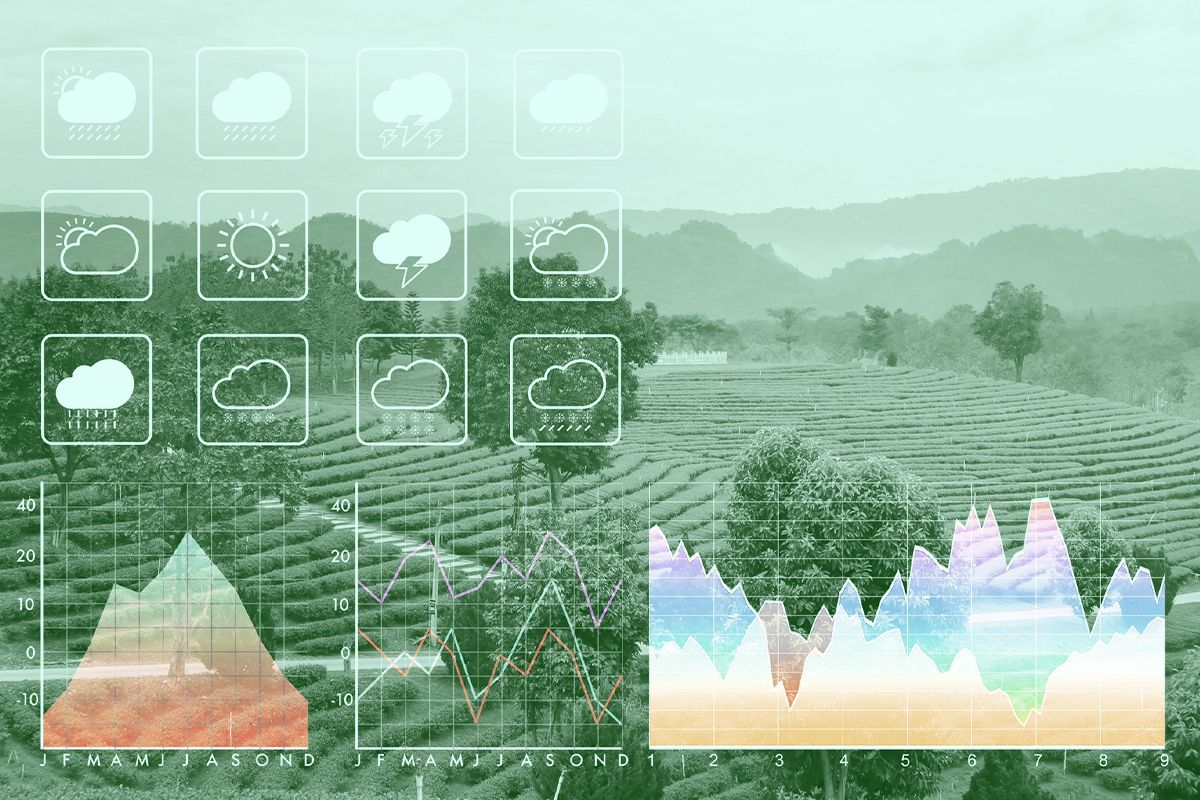 AI weather forecasting.