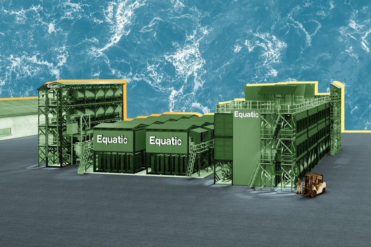 An Equatic plant rendering.