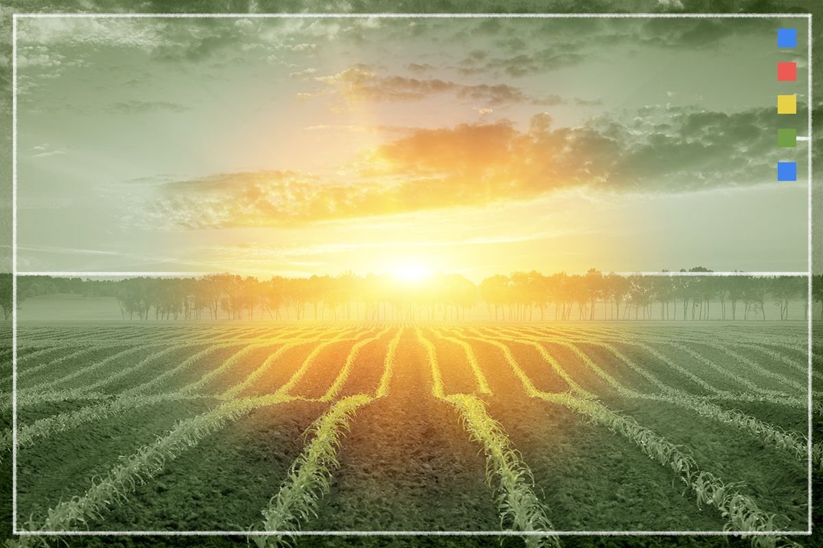 2 Climate Removal Deals, 1 Final Tax Credit Rule