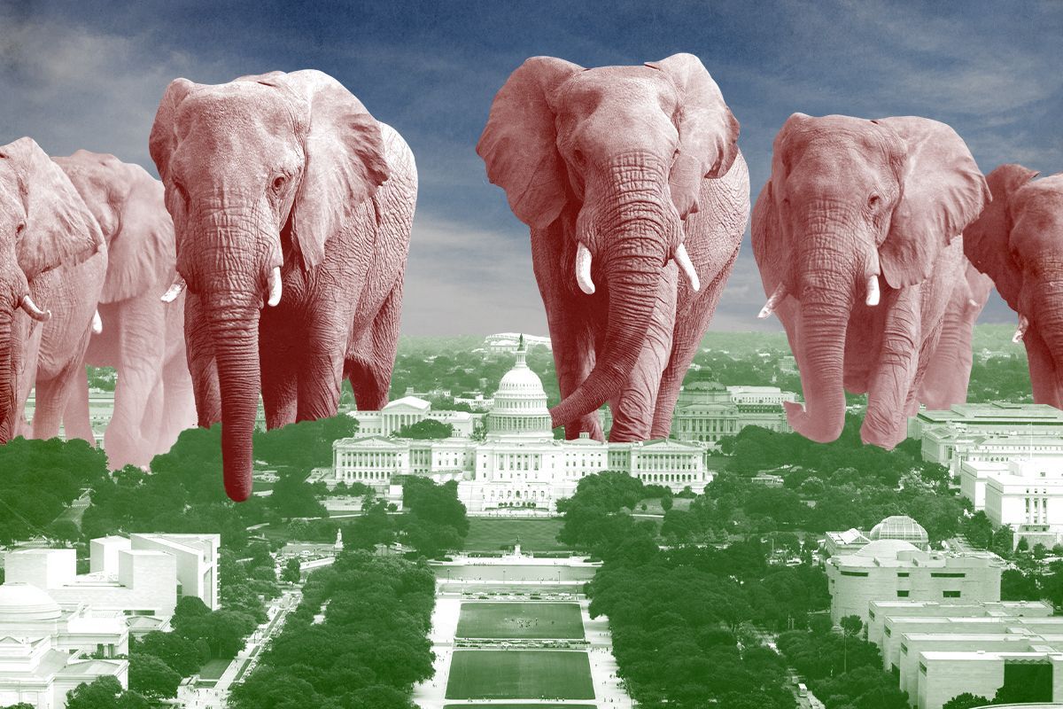 Elephants in Washington, D.C.