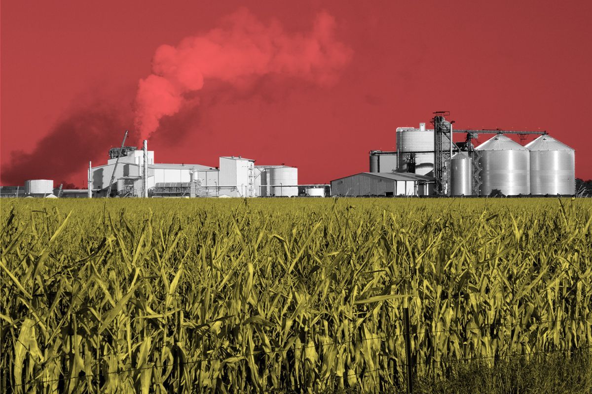 An ethanol plant.