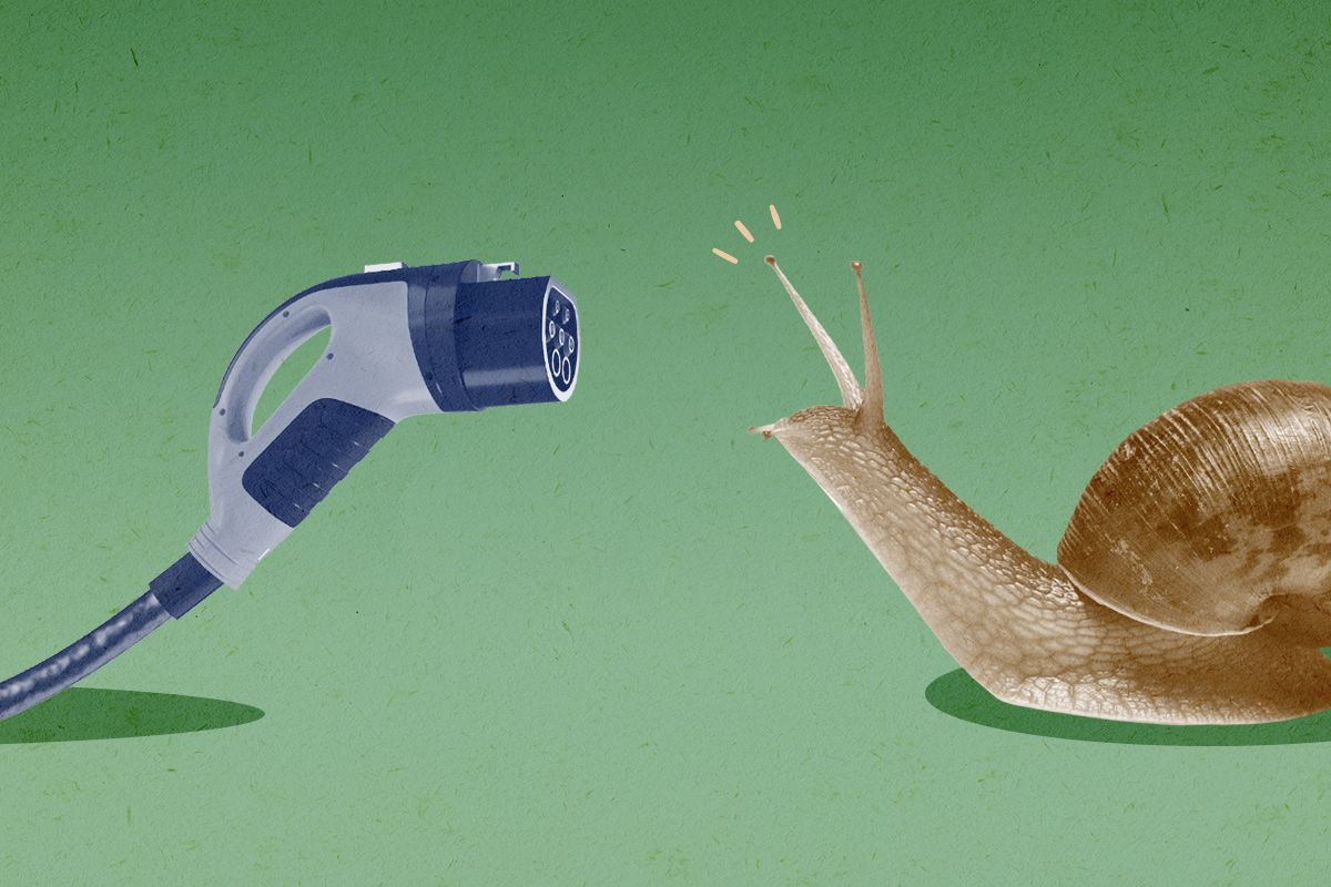 A snail and a charger.