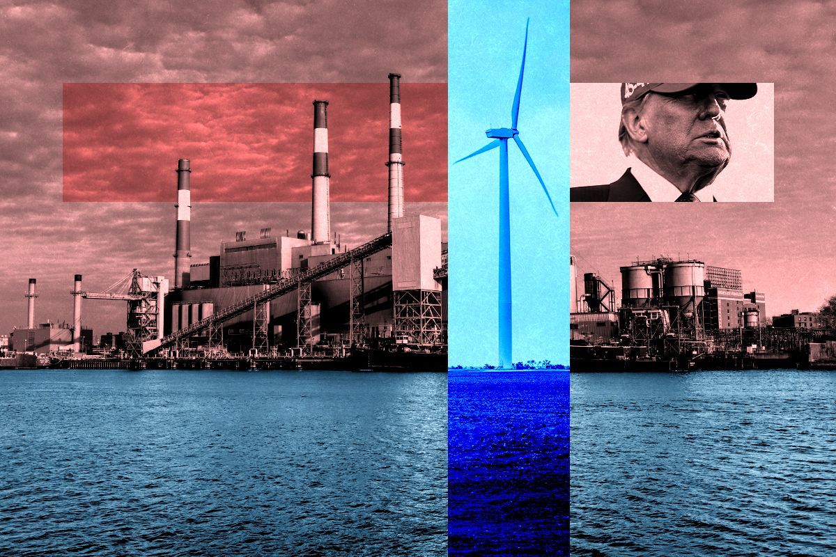 Ravenswood and Donald Trump.