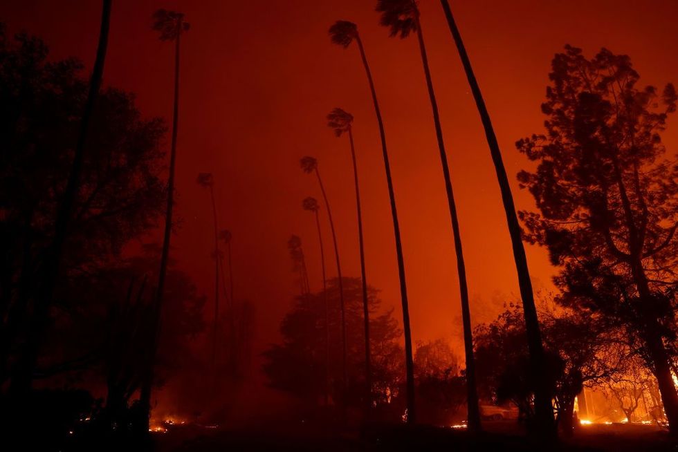 Wind bends palm trees as the Eaton Fire moves through Altadena.
