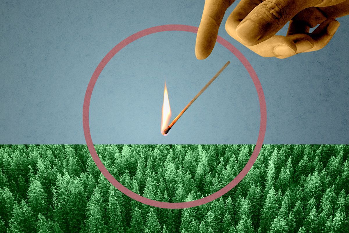 A burning match and a forest.