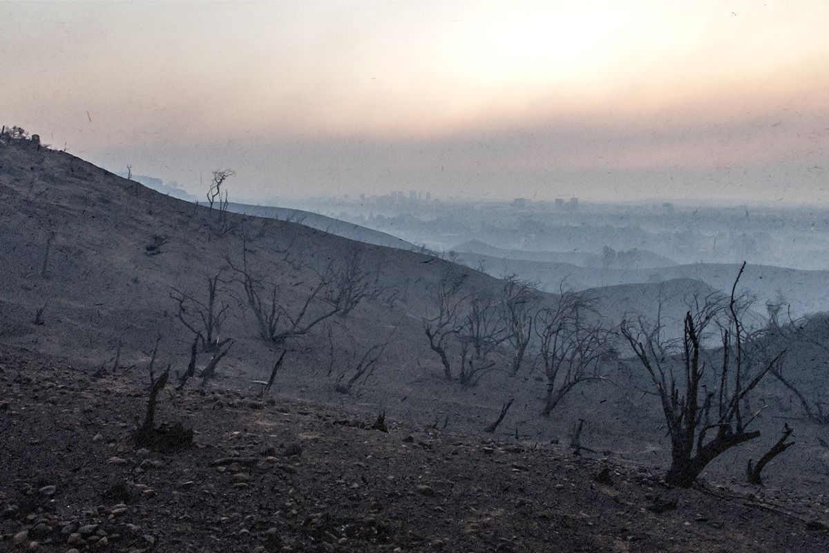 Los Angeles air.