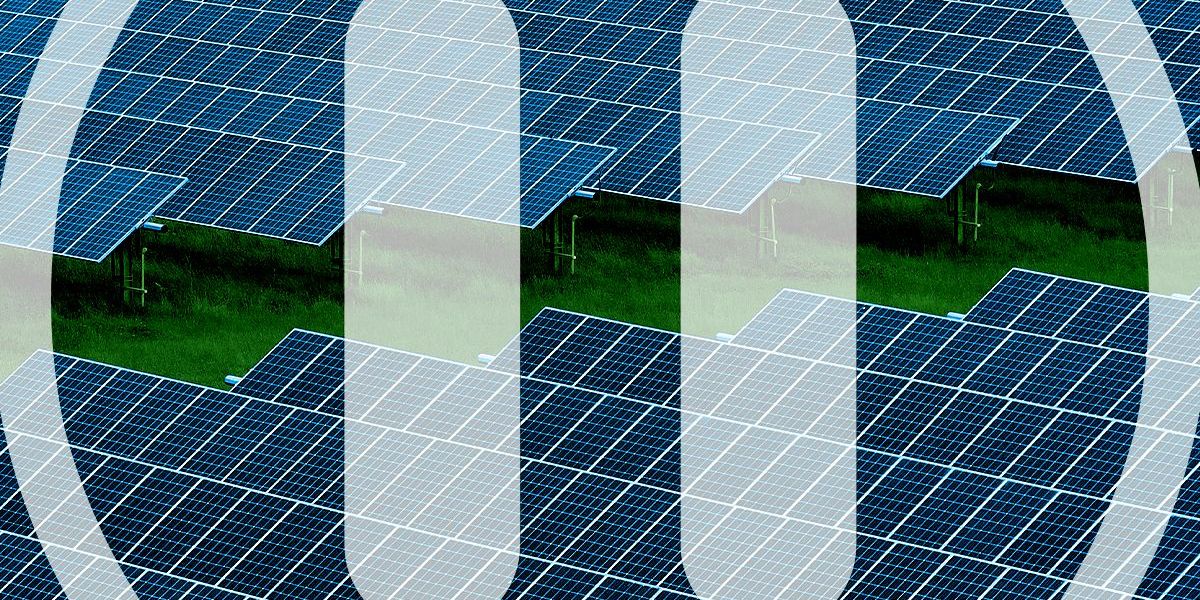 Trump Pauses Permitting for All Renewables on Federal Lands - Heatmap News