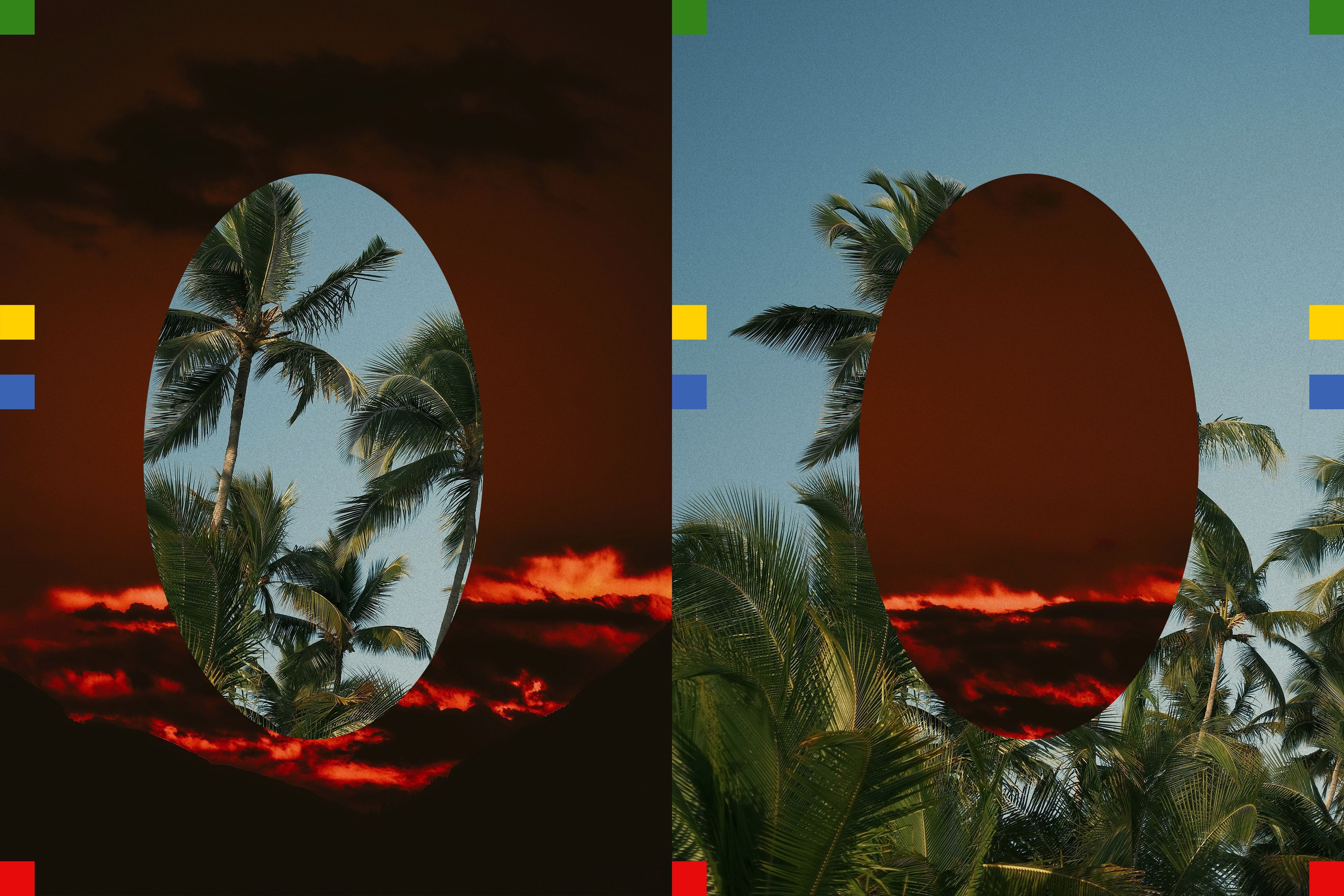 Fire and vegetation