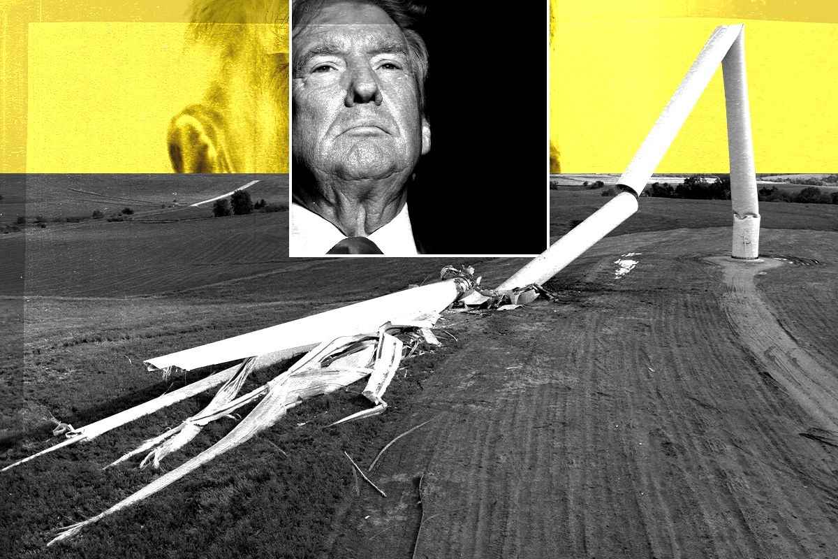 Trump and wind turbines.