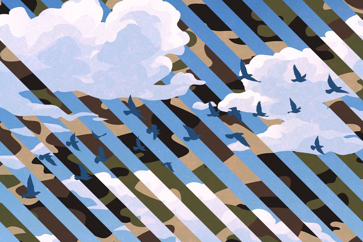 Camouflage, clouds, and birds.