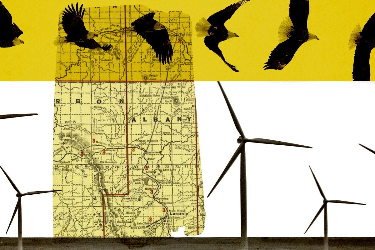 Eagles and wind turbines in Wyoming.