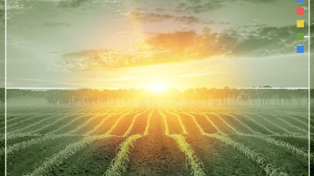 Tesla Owners Buying Up ‘Insane’ Number of Anti-Elon Musk Bumper ...