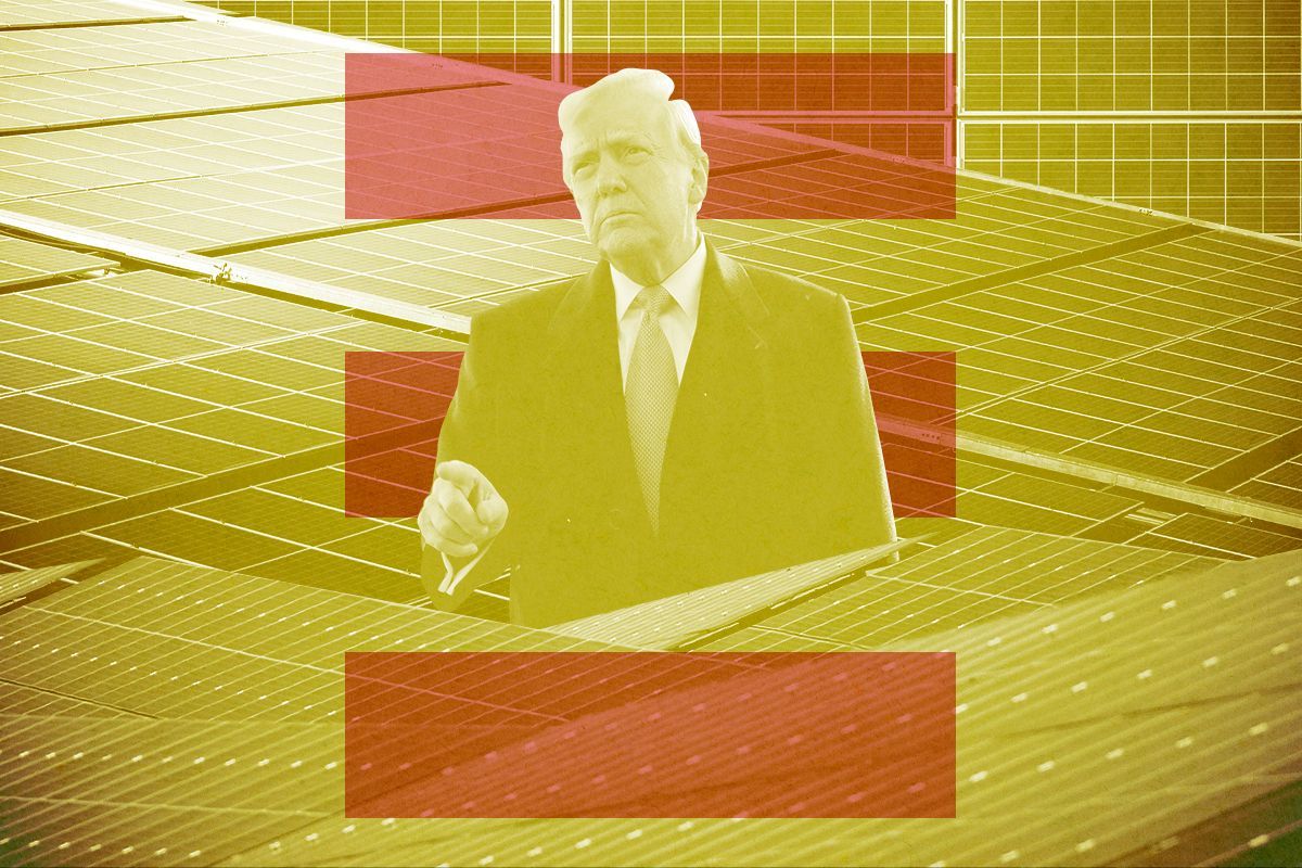 Trump and solar panels.