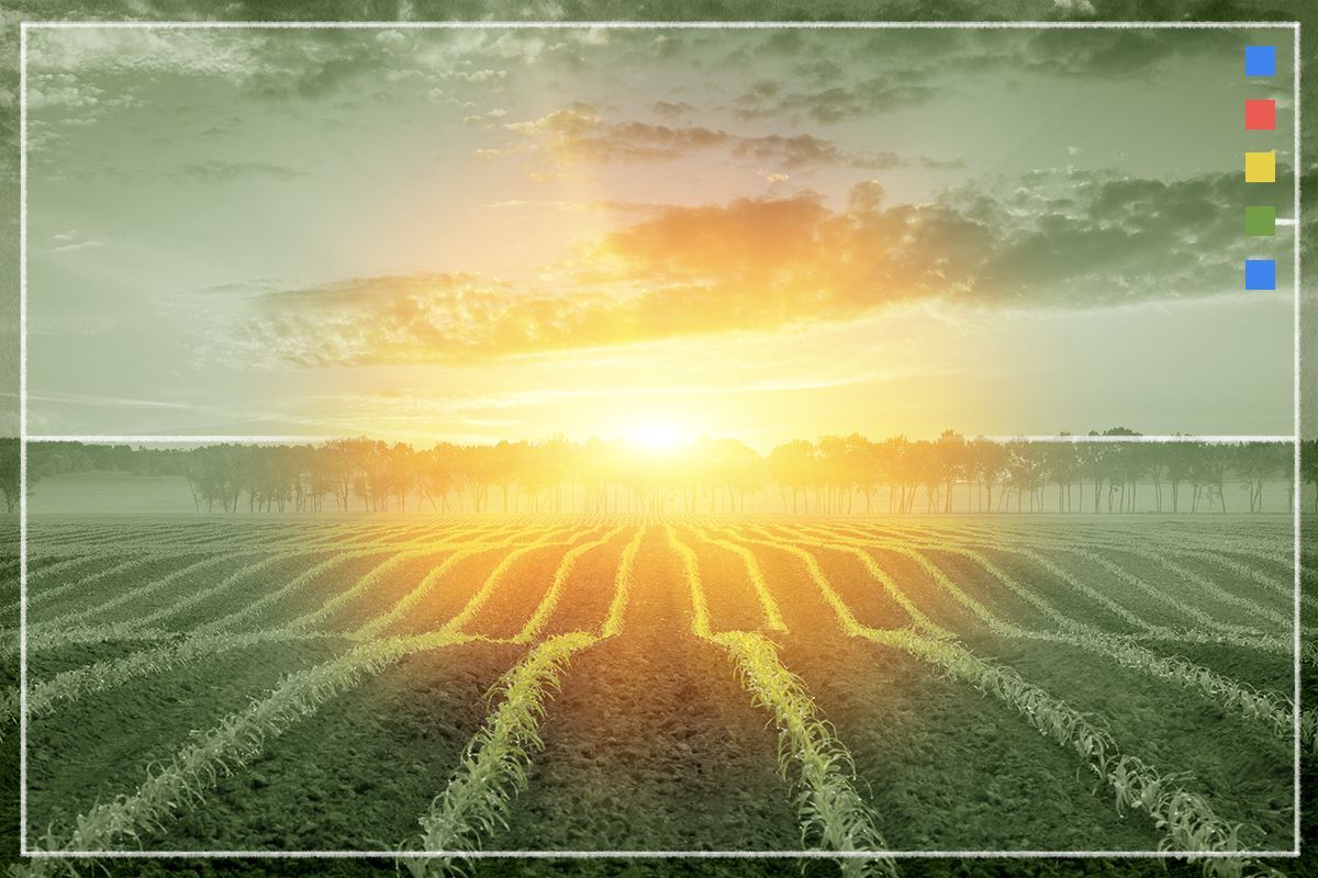 heatmap.news - Jeva Lange - Global Solar Market Expected to Slow in 2025