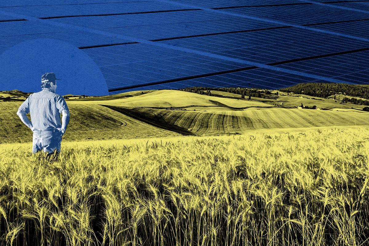 A farmer and solar panels.