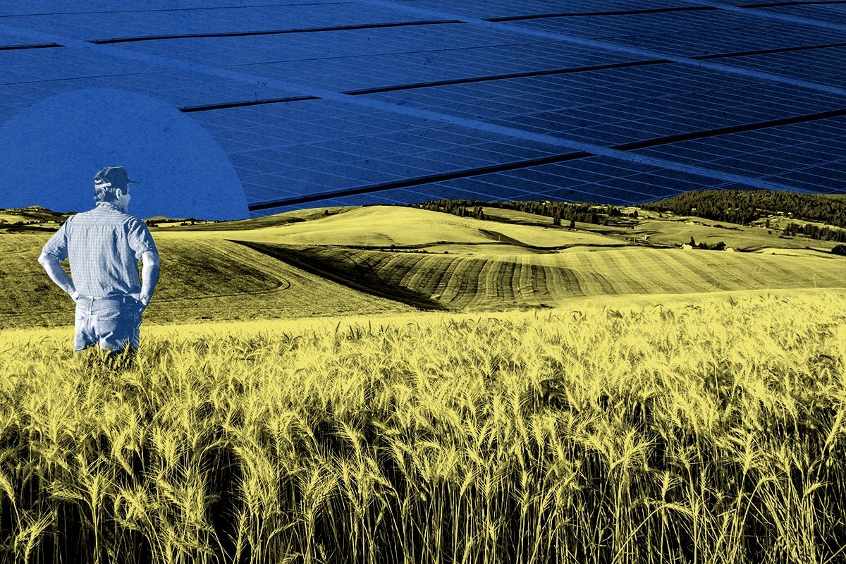 A farmer and solar panels.