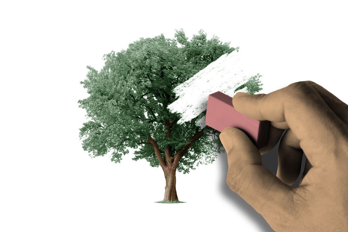 Erasing a tree.