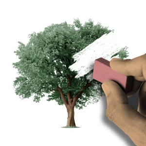Erasing a tree.
