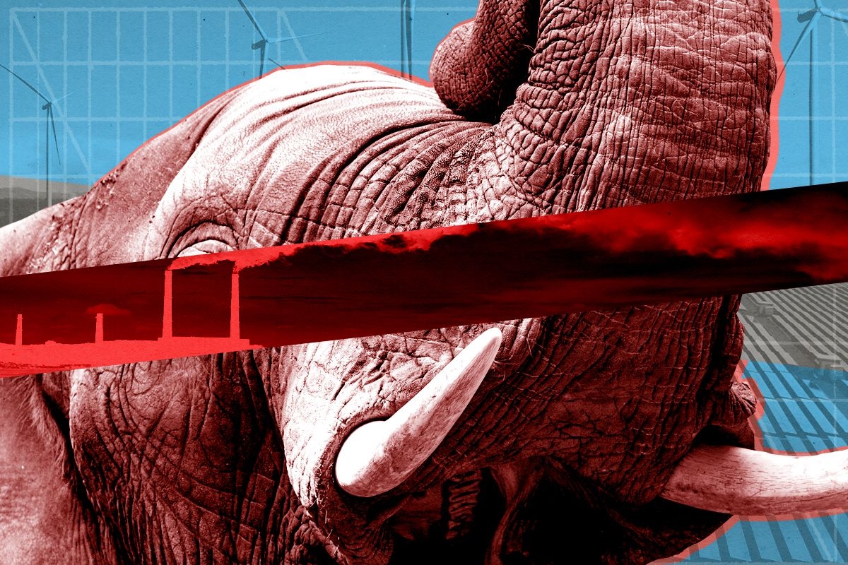 An elephant and clean energy.