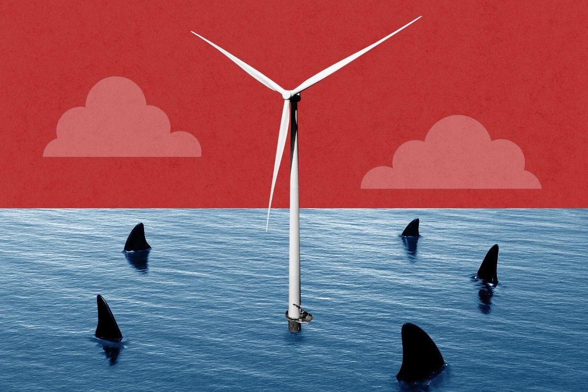 Sharks circling a wind turbine.