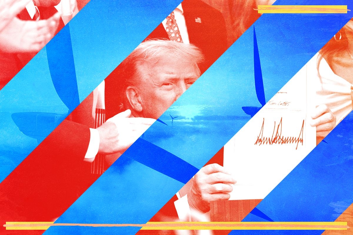 Donald Trump and wind turbines.