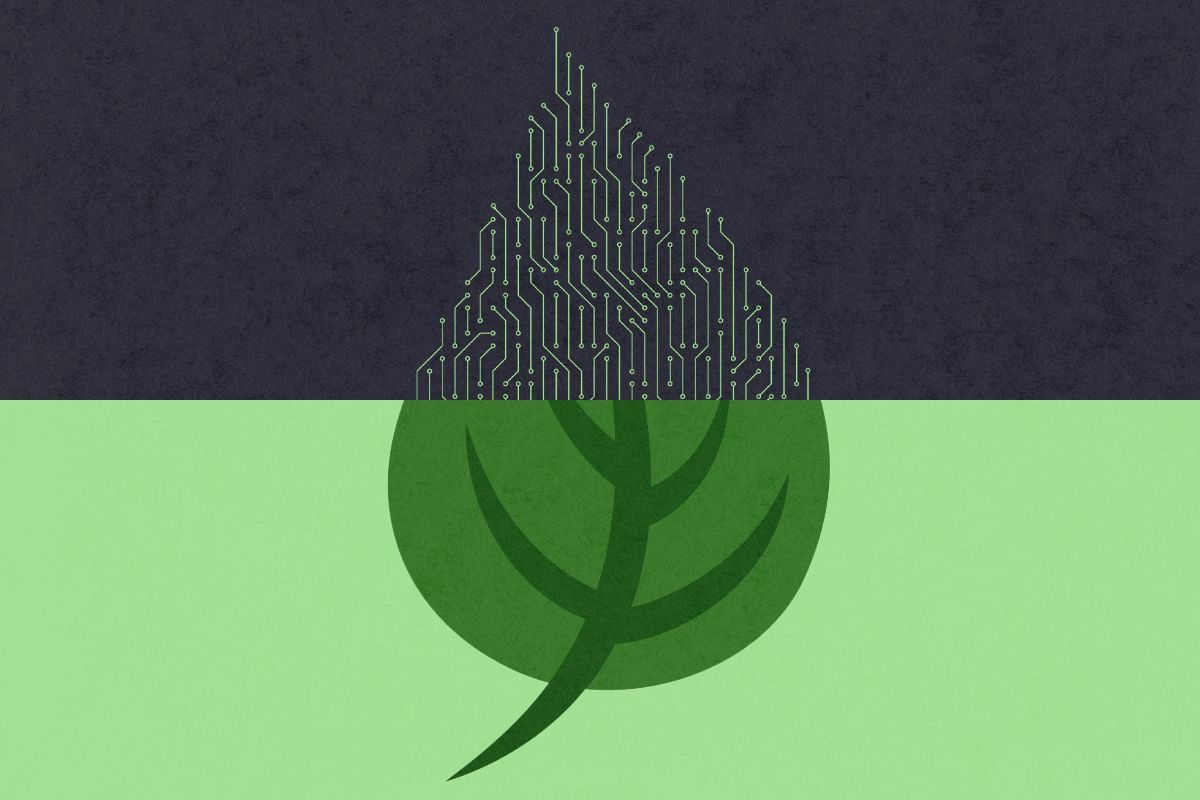 A leaf and technology.