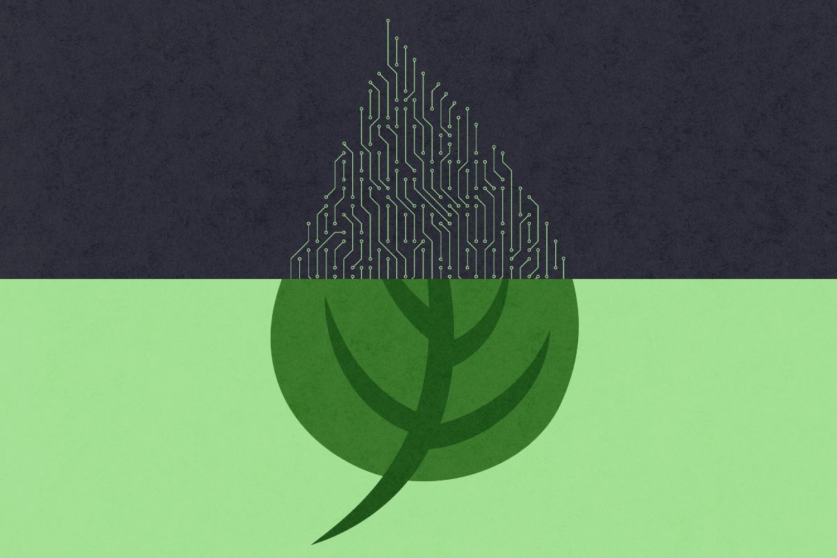 A leaf and technology.