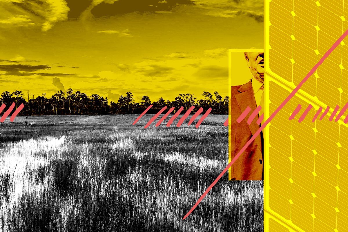 Wetlands, Donald Trump, and solar panels.